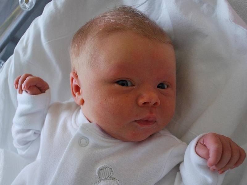 Melissa Wolfová, Radotín, narozena 18. října 2010 v Přerově, míra 49 cm, váha 3 300 g