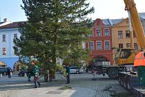 Instalace vánočního stromu na Masarykově náměstí v Hranicích, 15. listopadu 2022