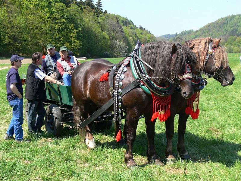 Jezdecké závody ve Lhotce