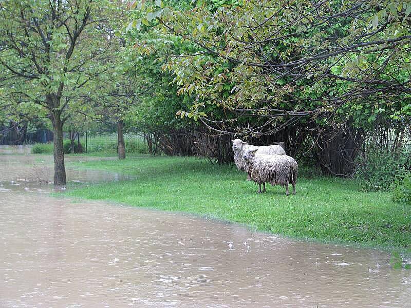 Polom na Hranicku, středa 2.6.2010 po poledni 