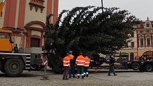Příjezd vánočního stromu na hranické náměstí. Ilustrační foto