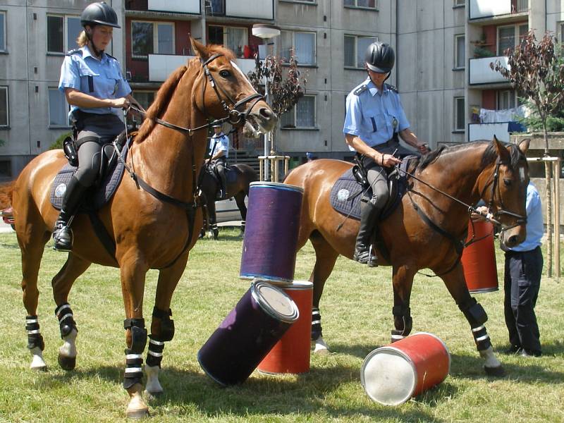 Koně jízdní policie ze Zlína jsou speciálně vycvičeni pro zvládání náročných situací.