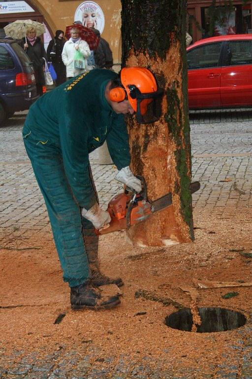 Usazování vánočního stromu na náměstí v Hranicích