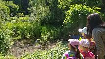 Děti ze třídy Sluníček MŠ Pohádka navštívili arboretum.