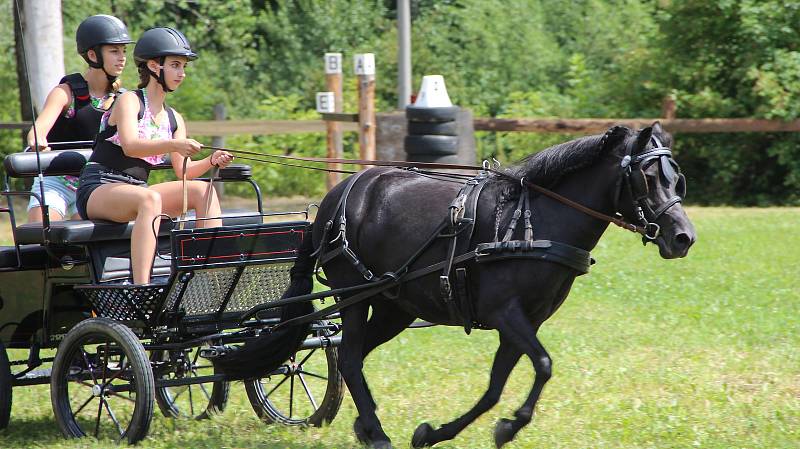 Závody koňských spřežení v Hustopečích nad Bečvou