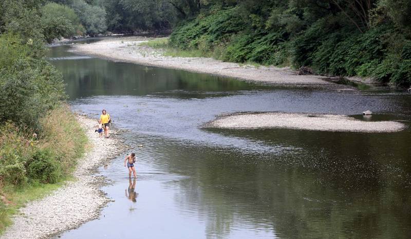 Bečva v Hranicích. 10. srpna 2015