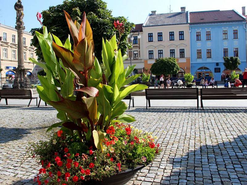 Masarykovo náměstí v Hranicích. Ilustrační foto