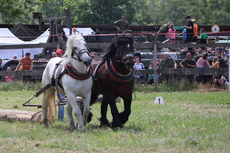 V první polovině června probíhá na Heřmánkách přehlídka loveckých trofejí spojená s ukázkami práce tažných koní, svou techniku a činnost tady představuje Armáda ČR.