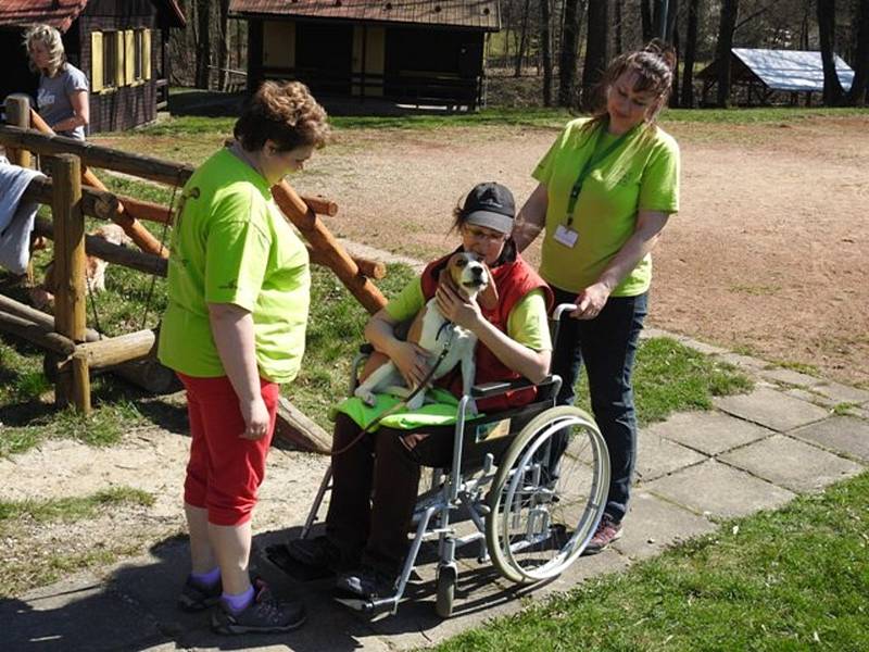 Jana Polášková je vychovatelka sluchově postižených dětí a chovatelka bíglů. Svou práci spojila se svým koníčkem a díky canisterapii pomáhá handicapovaným dětem.