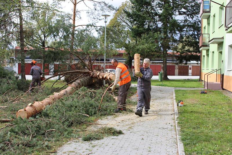 Vichřice napáchala škody na třídě 1. máje, kde spadl nedaleko obchodu Hruška vrostlý smrk. Na sídlišti Struhlovsko to odneslo hned stromů několik. Před domem číslo 1410 a 1411 nevydržely nárazy silného větru hned tři vzrostlé borovice a na dům s číslem 14