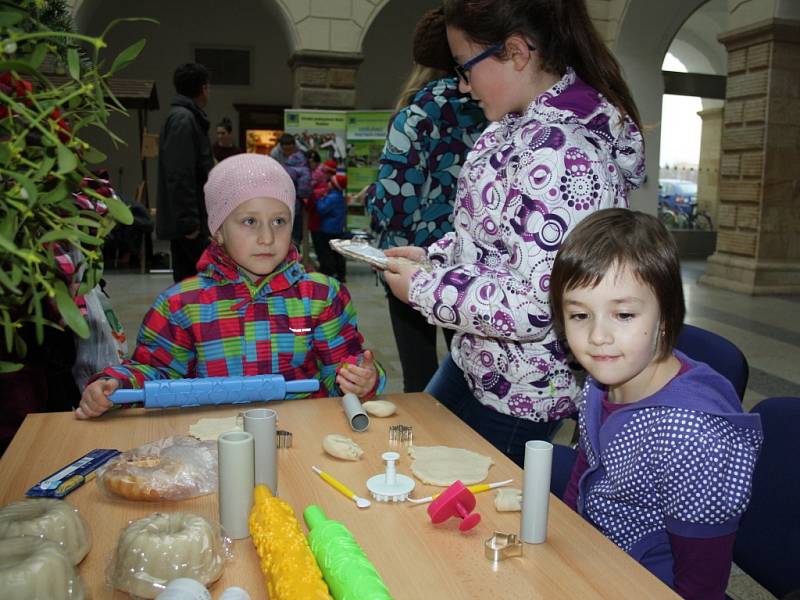 Zámecká dvorana hranického zámku patřila v pátek 4. prosince Dětskému vánočnímu jarmarku, který Dům dětí a mládeže Hranice pořádal již po šestnácté. V bohatém kulturním programu vystoupili žáci Základní umělecké školy Hranice, nebo také děti z kroužků.