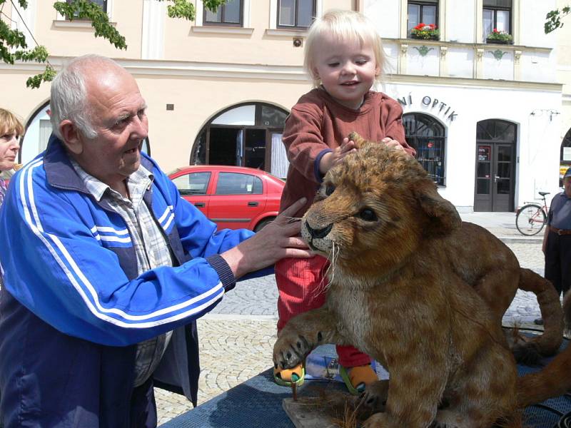 Dvouleté Lucince Hercikové, která ve čtvrtek 31. května oslavila své druhé narozeniny, se naši lvíčci moc líbili.