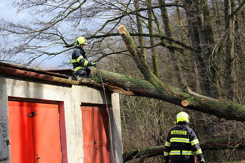 Hasiči odstraňovali v pondělí  10. února po poledni stromy, které silný vítr vyvrátil na garáž na Nové ulici v Hranicích.