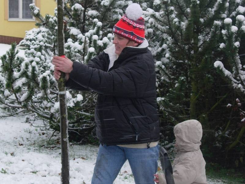 Zatímco rodiče hloubili jámy a sázeli stromy, jejich ratolesti dováděly na sněhu a stavěly sněhuláky.