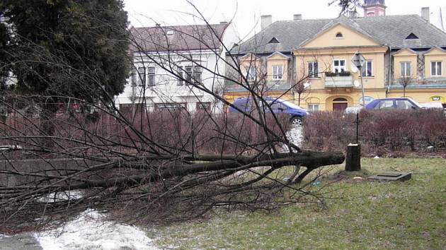 Neznámý vandal ze středy na čtvrtek pokácel v ulici Motošín v Hranicích lípu, která rostla před hlavním vstupem do bývalé zvláštní školy.