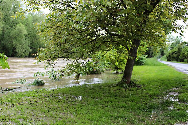 Bečva v Hranicích ve čtvrtek 23.5. 2019 dopoledne.