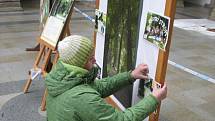 Fotografická výstava věnovaná vítězství skaličské aleje v anketě Strom roku 2011 se od soboty koná ve dvoraně hranického zámku.