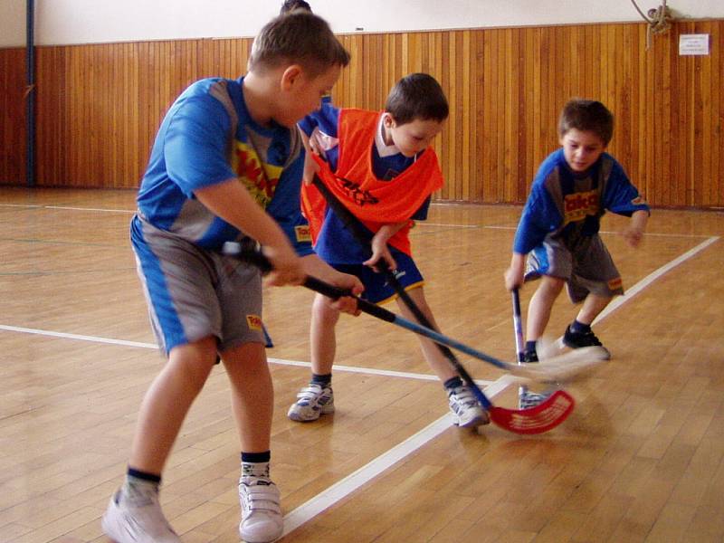 K odvetnému přátelskému utkání přijeli v sobotu 28. března do Hranic mladí florbalisté z Domu dětí a mládeže v Kojetíně. 