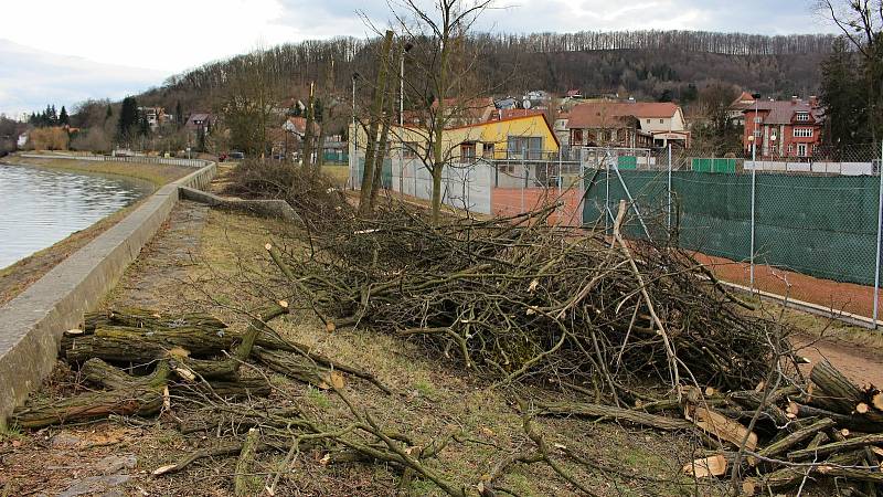 Pokácené stromy a keře v Sadech Československých legií v neděli 14. března 2021.