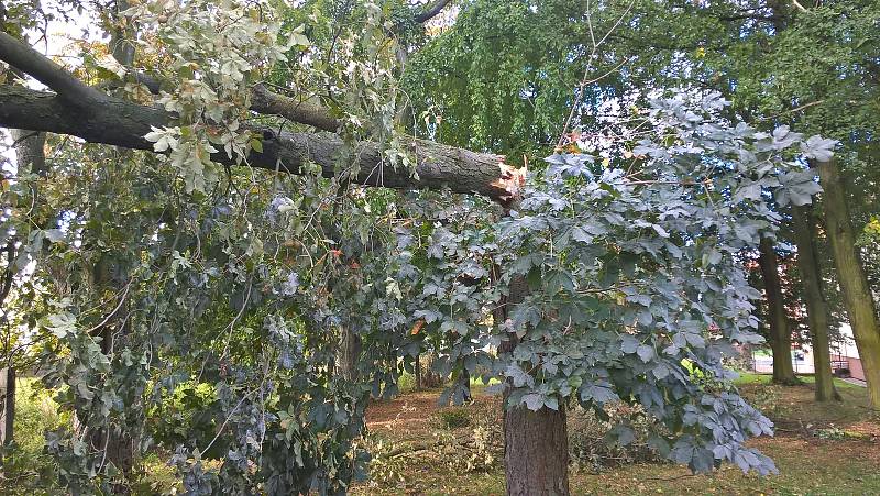 Takovou spoušť napáchala v noci na pondělí vichřice v areálu hranické nemocnice