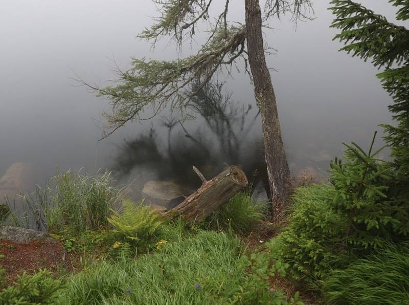 Na dovolené ve Vysokých Tatrách – Štrbské pleso.