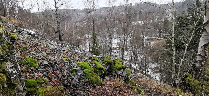 Ve svahu nad meandry Odry.