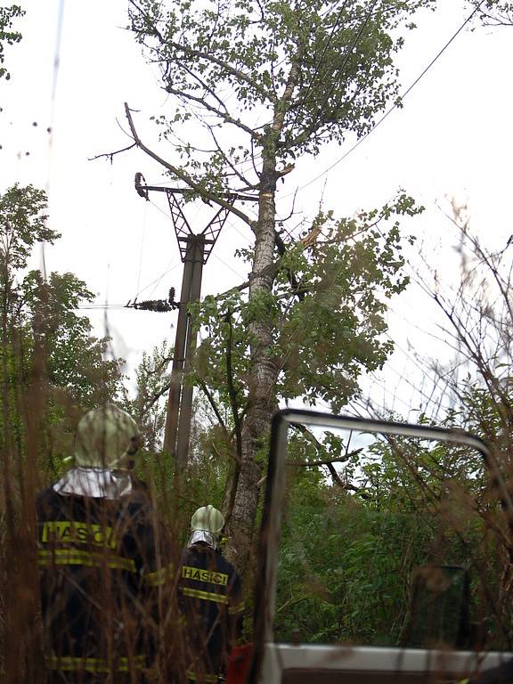 U přerovské laguny spadl strom na dráty elektrického vedení.