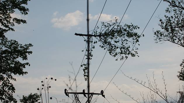 U přerovské laguny spadl strom na dráty elektrického vedení.