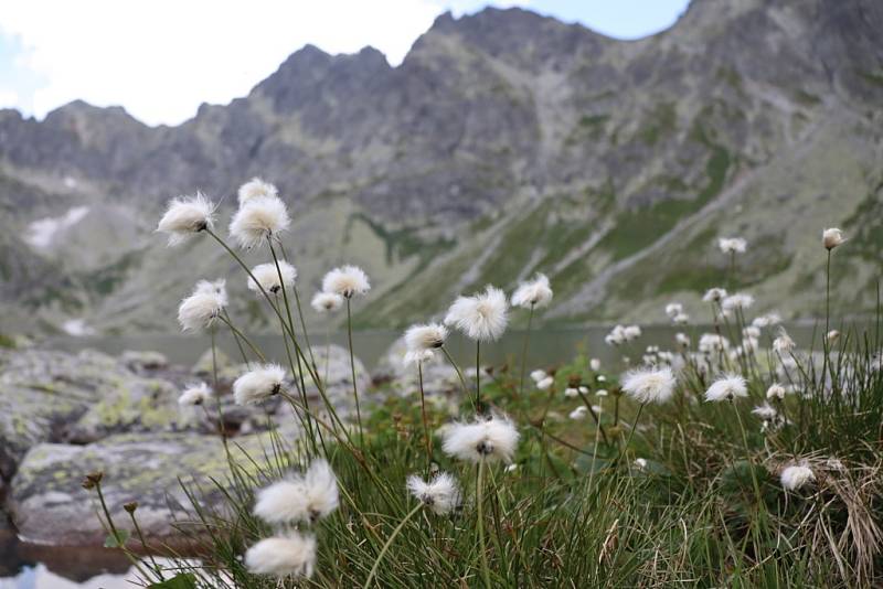 Na největší pleso na slovenské straně hor, Velké Hincovo pleso.