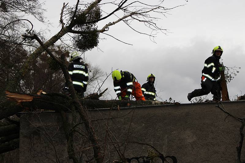 Hasiči odstraňovali v pondělí  10. února po poledni stromy, které silný vítr vyvrátil na garáž na Nové ulici v Hranicích.