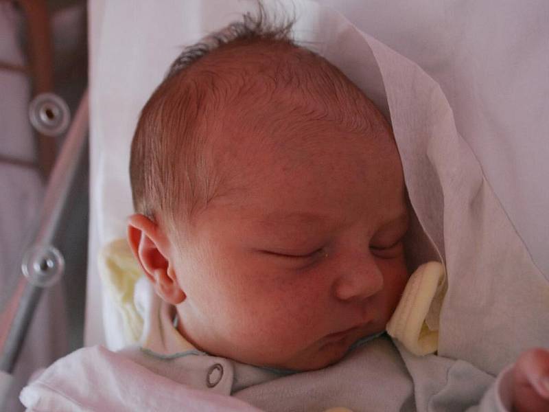 Petříček Zámečníček, Majetín, narozen 22. února 2012 v Přerově, míra 52 cm, váha 3 610 g