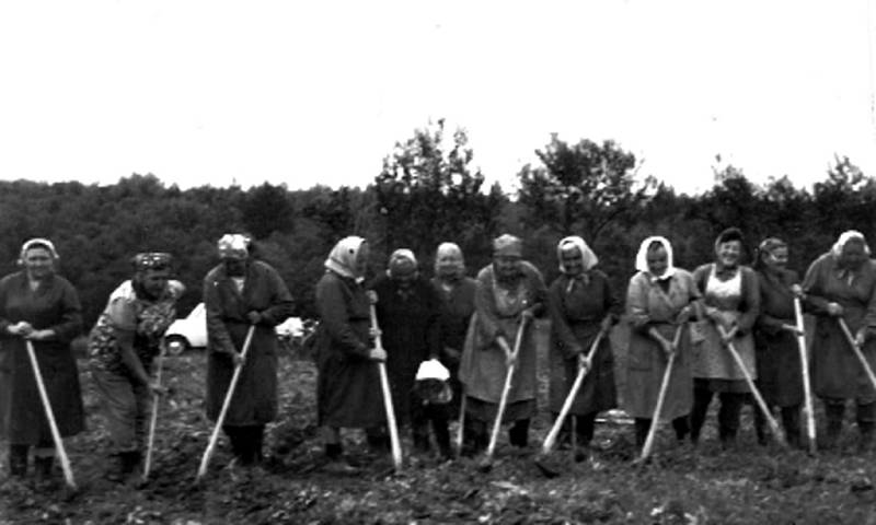 Z historie obce Skalička.