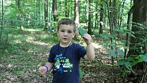Děti z mateřské školky ve Skaličce si užívají tento týden Lesní školku v Nihlovském lese.
