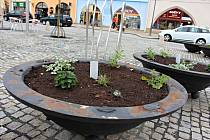 Květinová výzdoba na náměstí v Hranicích - květen 2021.