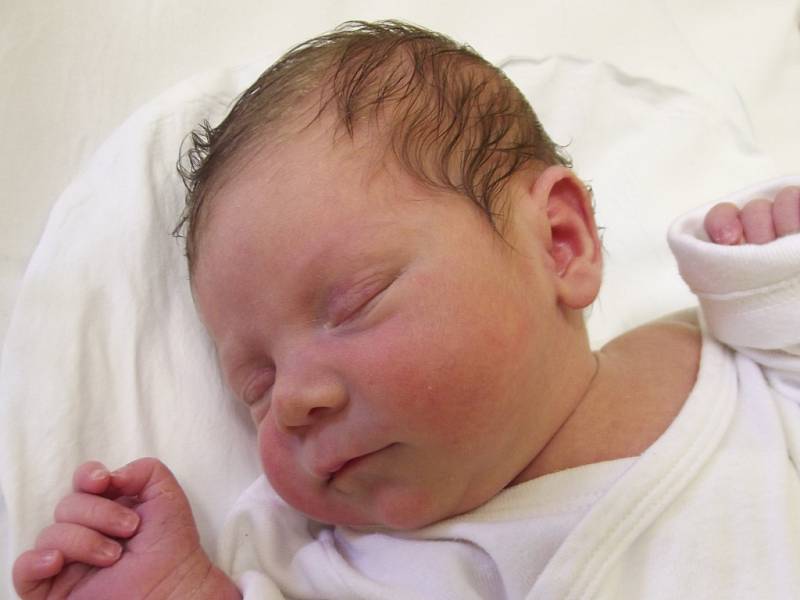 Karolína Cigánková, Čekyně, narozena dne 13. ledna 2015 v Přerově, míra: 44 cm, váha: 2502 g 