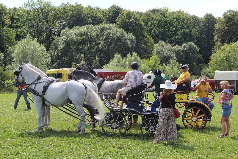 Závody koňských spřežení v Hustopečích nad Bečvou