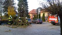 Ke spadlému stromu museli hasiči v Hranicích vyjíždět i do Jiráskovy ulice