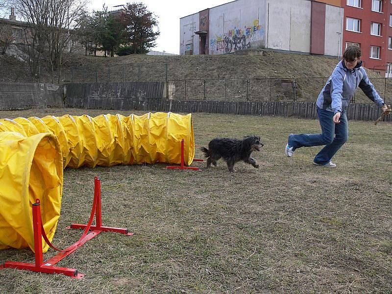 Kurz agility hranického Domu dětí a mládeže