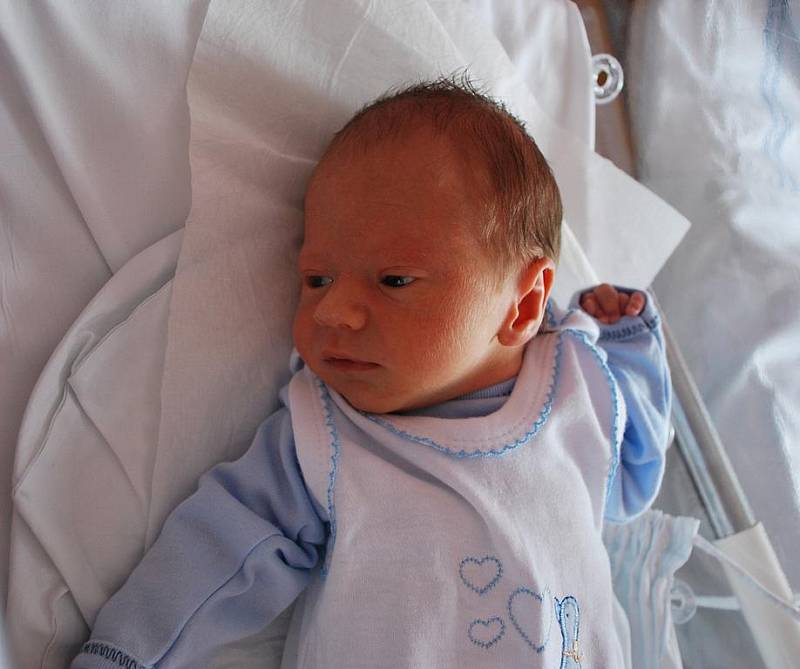 Jan Lupík, Lazníky, narozen 5. září 2010 v Přerově, míra 49 cm, váha 2 800 g