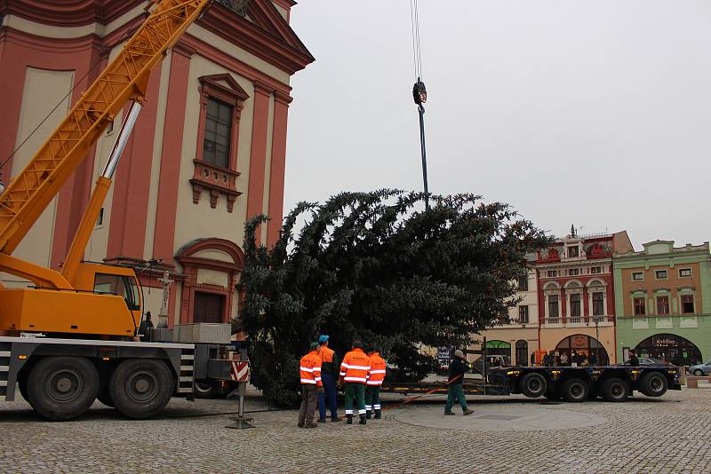 Na hranické náměstí v pátek 24. listopadu dopoledne dorazil vánoční strom.