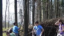Úklid ZŠ 1. máje Hranice v lese poblíž Opatovic