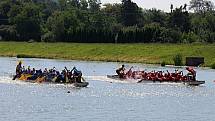 Festival dračích lodí na hranické Bečvě - závody základních a středních škol