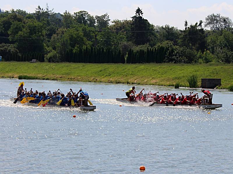 Festival dračích lodí na hranické Bečvě - závody základních a středních škol