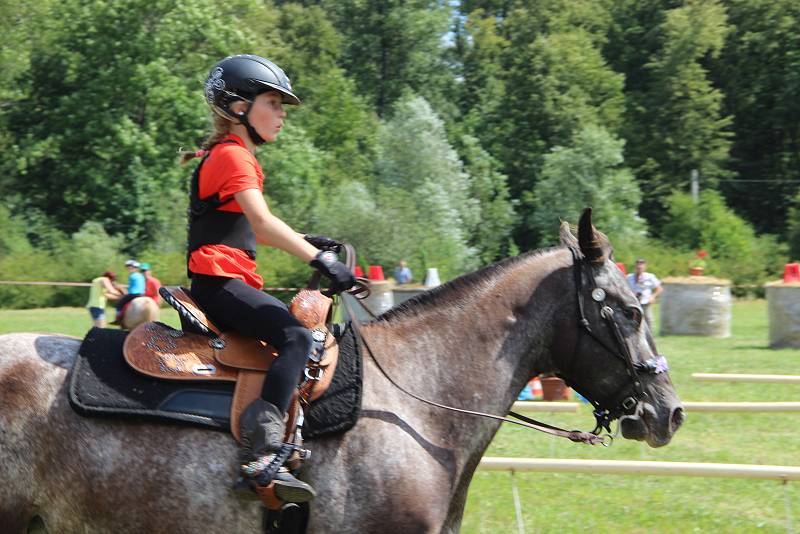 Závody koňských spřežení v Hustopečích nad Bečvou