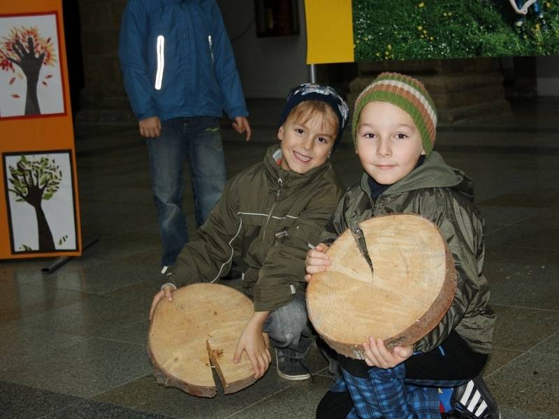 Výstava fotografií a prací dětí ze ZŠ Skalička s názvem „Dvacet pět let svobody u stromů“ ve dvoraně hranického zámku