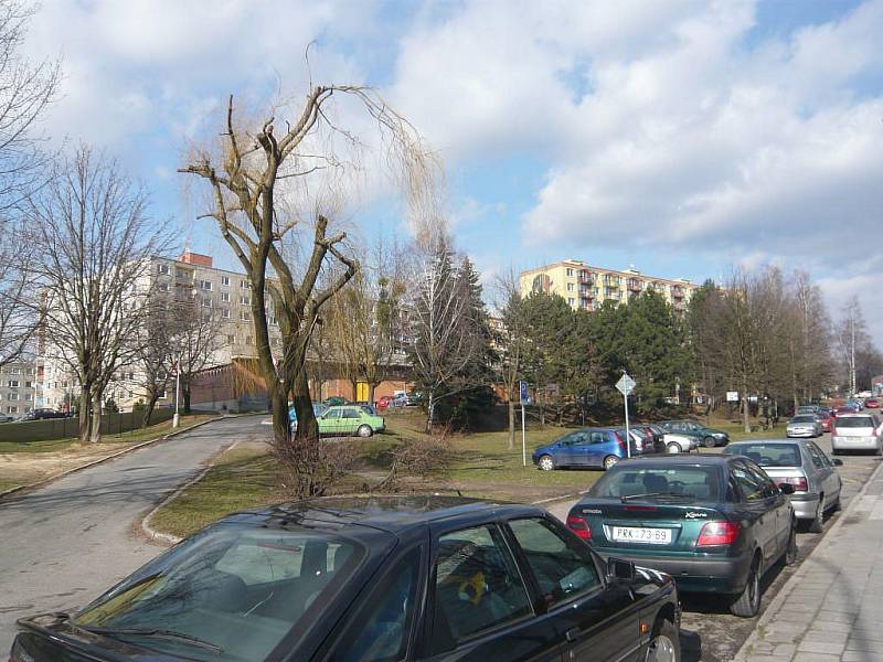 RAZANTNÍ ROZDÍL. Zatímco na jaře vrba připomínala uschlý pahýl, v létě se krásně zelená