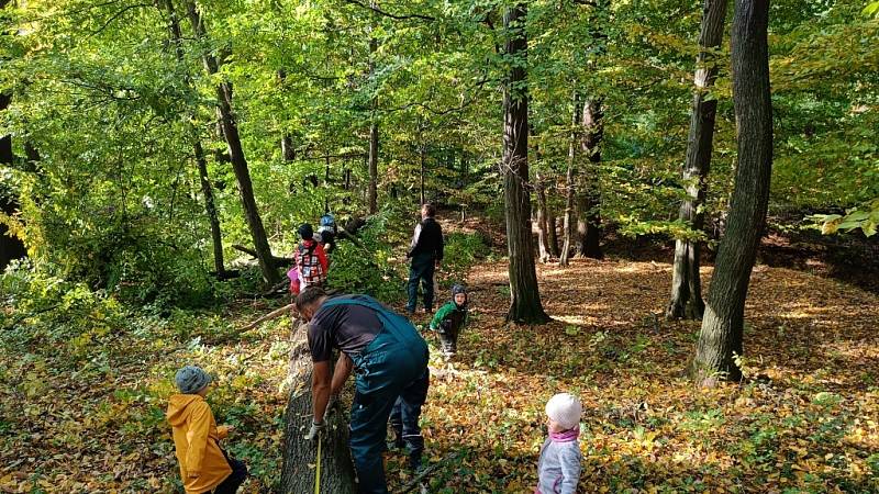 Děti z Mateřské školy Čtyřlístek v Milenově vysadily smíšený lesík.