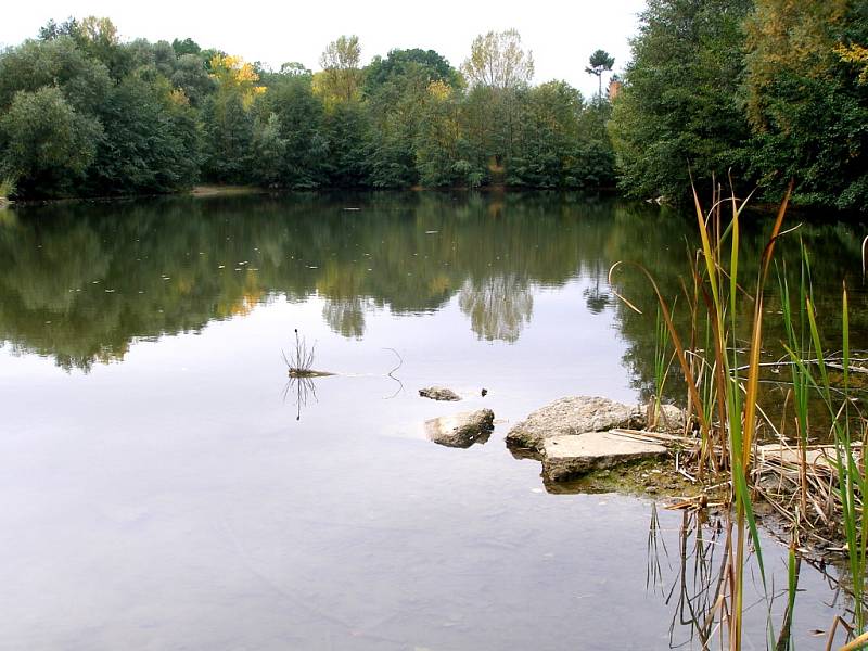 Malá laguna v Přerově bude připsána na seznam přírodních památek.