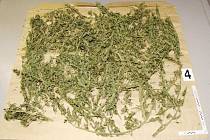 Přes tři kilogramy marihuany našli kriminalisté při domovní prohlídce v bytě  muže z Hranic