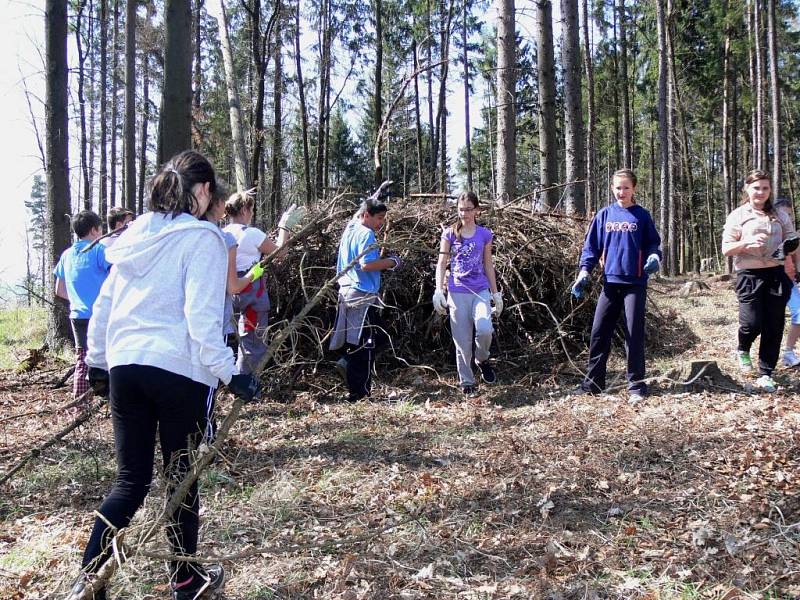 Úklid ZŠ 1. máje Hranice v lese poblíž Opatovic